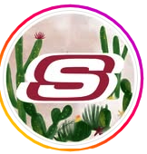 Skechers Mlimani City